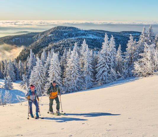 Ist der Aufstieg geschafft, wird man mit einem atemberaubenden Blick belohnt. Foto: DJD/Ferienregion Nationalpark Bayerischer Wald/woidlife photography