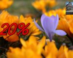 Frühlingsaktion: Mit dem Medienportal-Grimma bis zu 20% sparen!