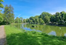 Schwanenteichpark