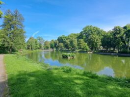 Schwanenteichpark