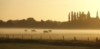 Spätsommer auf dem Land