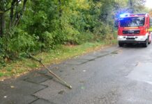 Baum blockiert Straße – Feuerwehr packt’s mit links