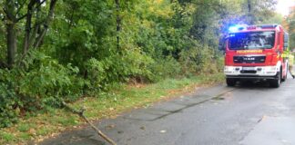 Baum blockiert Straße – Feuerwehr packt’s mit links