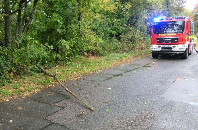 Baum blockiert Straße – Feuerwehr packt’s mit links