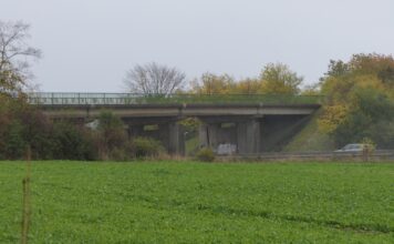 A14 – Brücke bei Grimma aus Sicherheitsgründen gesperrt – Neubau geplant