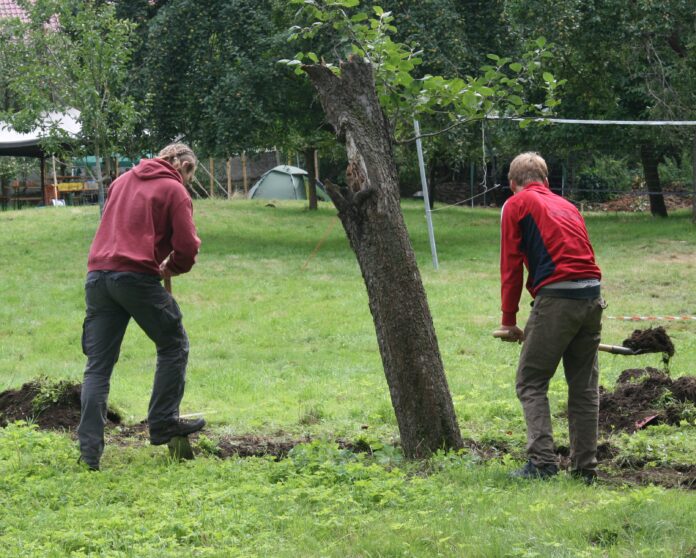 IMG_WorkCamp2025_Presse_2