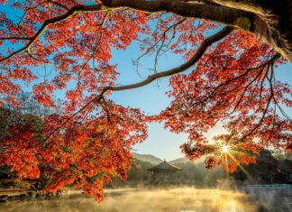 Ruhiges und mildes Herbstwetter in Sachsen: Sonne, Wolken und kein Regen in Sicht