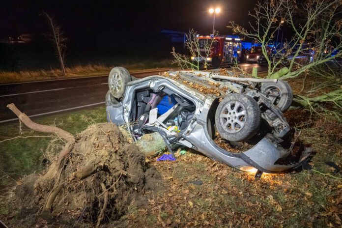 Bad Düben - Tödlicher Unfall in der Adventszeit! 22-Jähriger stirbt nach Überschlag und schwerem Crash mit Baum