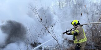 Schwelbrand in Waldgebiet zwischen Lobstädt und Borna – Feuerwehren stundenlang im Einsatz