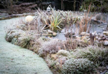 Den Gartenteich winterfest machen