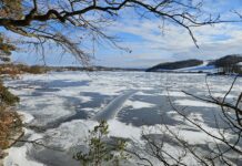 Lebensgefahr auf dem Eis: Landestalsperrenverwaltung warnt vor Betreten zugefrorener Gewässer