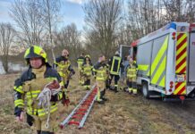 Einbruch ins Eis am Harthsee: Feuerwehren retten Person in letzter Minute