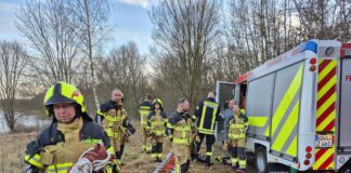 Einbruch ins Eis am Harthsee: Feuerwehren retten Person in letzter Minute