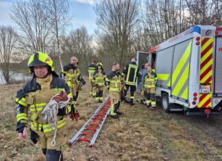 Einbruch ins Eis am Harthsee: Feuerwehren retten Person in letzter Minute