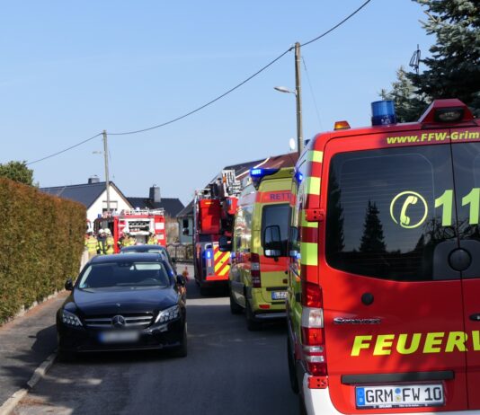 Rettungseinsatz in Nerchau Fotos: Sören Müller