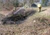 Brand am Muldeufer in Kössern – Feuerwehr verhindert Ausbreitung Die Feuerwehr konnten den Brand zügig eindämmen