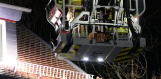 Feuerwehr rettet Katze vom Dach