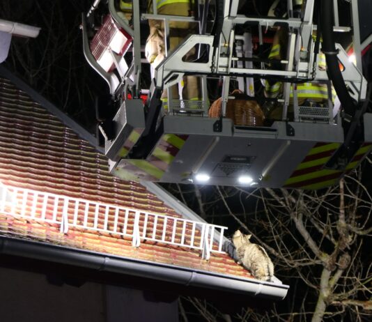 Feuerwehr rettet Katze vom Dach