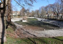 Der Schwanenteich in Grimma wird saniert