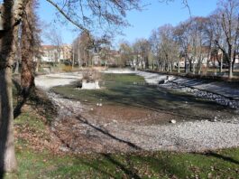 Der Schwanenteich in Grimma wird saniert