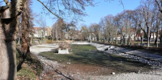 Der Schwanenteich in Grimma wird saniert