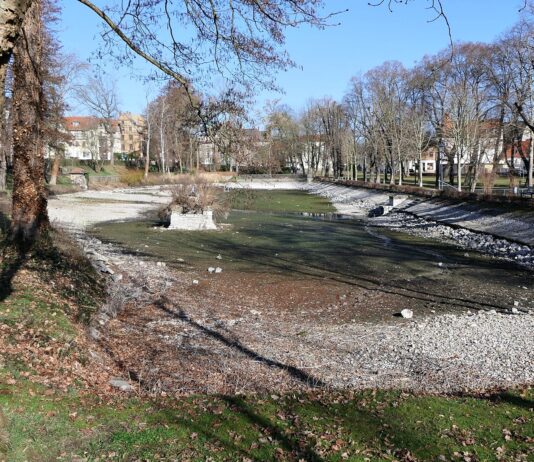 Der Schwanenteich in Grimma wird saniert