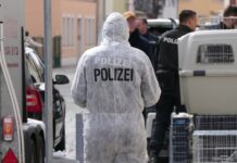 In Grimma kam es am Dienstag zu einem Tierschutz-Einsatz