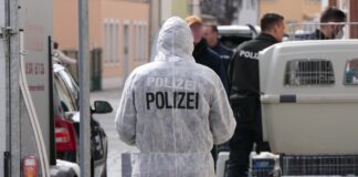 In Grimma kam es am Dienstag zu einem Tierschutz-Einsatz