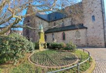 Stiefmütterchen gepflanzt