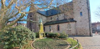 Stiefmütterchen gepflanzt