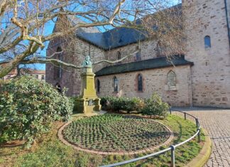 Grimma erblüht: Tausende Frühjahrsblumen verschönern das Stadtbild Stiefmütterchen gepflanzt