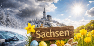 Symbolbild/KI generiert