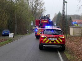 Unfall im Wald