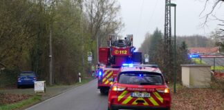 Unfall im Wald