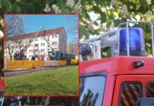 Geduldsspiel auf dem Dach: Feuerwehr rettet eigensinnige Katze in Borna