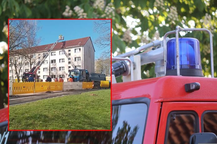 planet_fox-fire-fighters-4224749