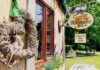 Pfingstsonntag in Nimbschen: Familienfest mit Musik, Kulinarik und Freizeitspaß am Klosterhotel
