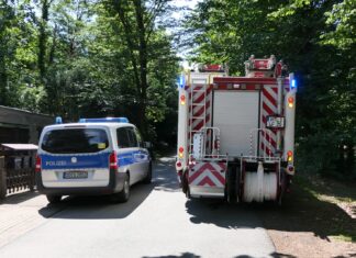 Leblose Person im Steinbruch bei Brandis entdeckt