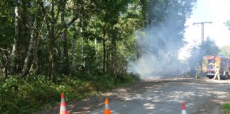 Flächenbrand bei den Tongruben: Feuerwehr verhindert größere Ausbreitung