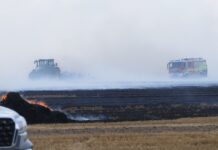 Feldbrand bei Grimma