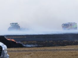 Feldbrand bei Grimma