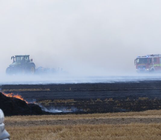 Feldbrand bei Grimma