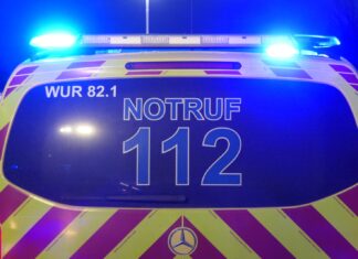 Unfall in Bad Lausick: Dacia prallt gegen Baum Notarzt
