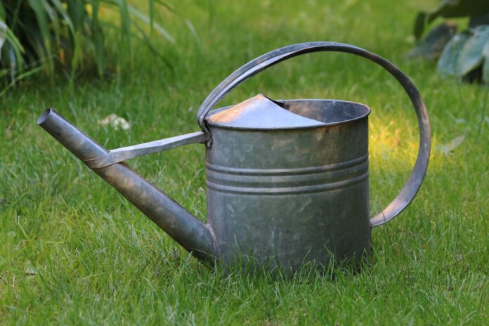 radekkulupa-watering-can-828542