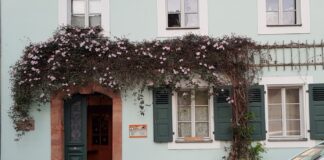 Grimmas Stollehaus lädt im September zu besonderen Lesungen