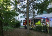 Rauchmelder alarmieren Nachbarn: Feuerwehr rückt zu Wohnungsbrand in Grimma-West aus