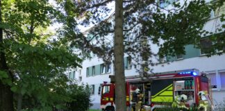 Rauchmelder alarmieren Nachbarn: Feuerwehr rückt zu Wohnungsbrand in Grimma-West aus