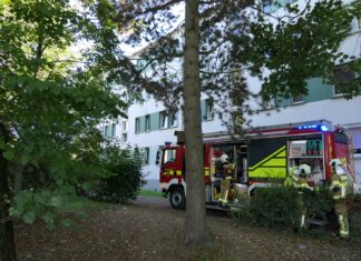 Rauchmelder alarmieren Nachbarn: Feuerwehr rückt zu Wohnungsbrand in Grimma-West aus