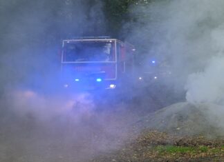 Feuerwehren und Sachsenforst üben gemeinsam im Colditzer Forst für den Ernstfall