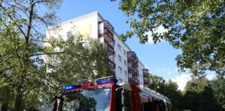 Rauchmelder und Brandgeruch: Feuerwehreinsatz in Grimma Süd